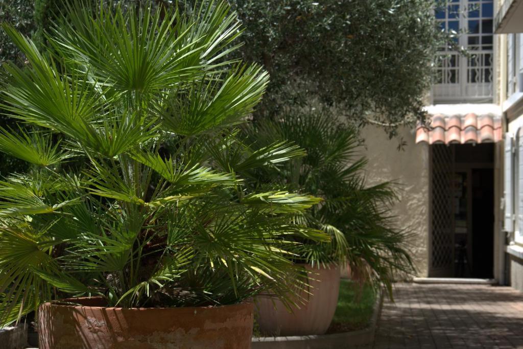 Hotel Du Cheval Blanc Saint-Rémy-de-Provence 外观 照片